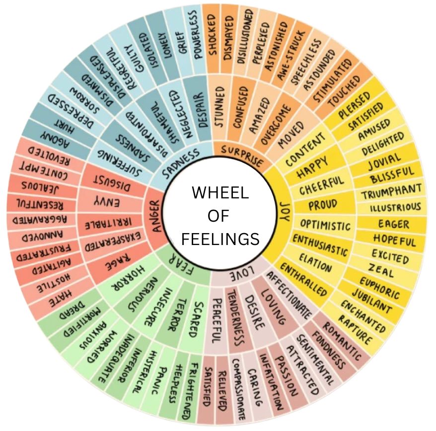 The Wheel of Many Feelings